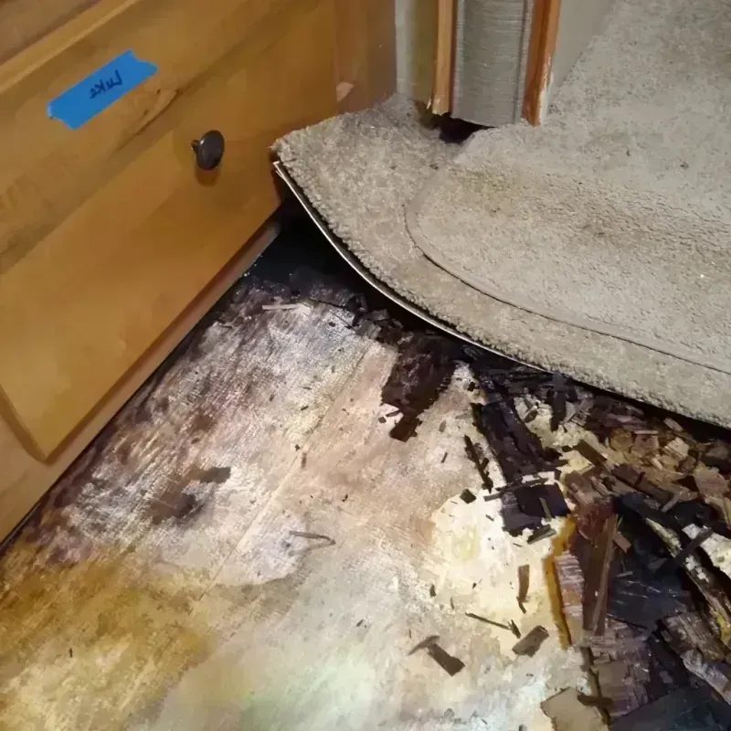 Wood Floor Water Damage in Oracle, AZ